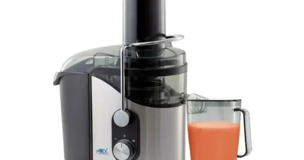 Anex juicer outlet machine