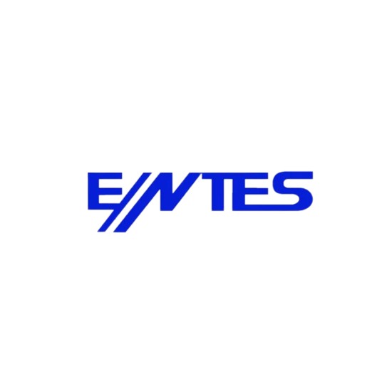 ENTES RGI-6 Power Factor Controller price in Paksitan