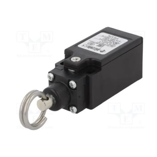 Pizzato FR 576 Limit Switch For Normal Duty price in Paksitan