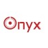 Onyx Solar Inverter