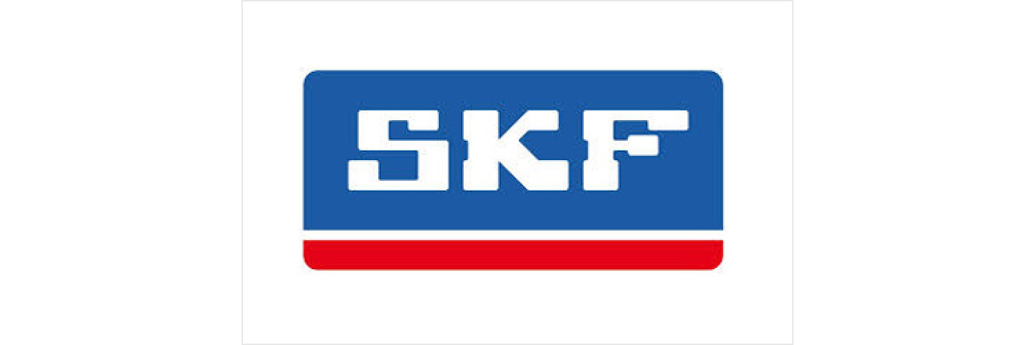 SKF Products Price in Pakistan