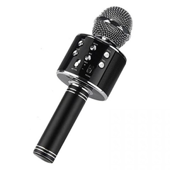 iKaraoke WSTER WS-858 Wireless Microphone With Hifi Speaker price in Paksitan