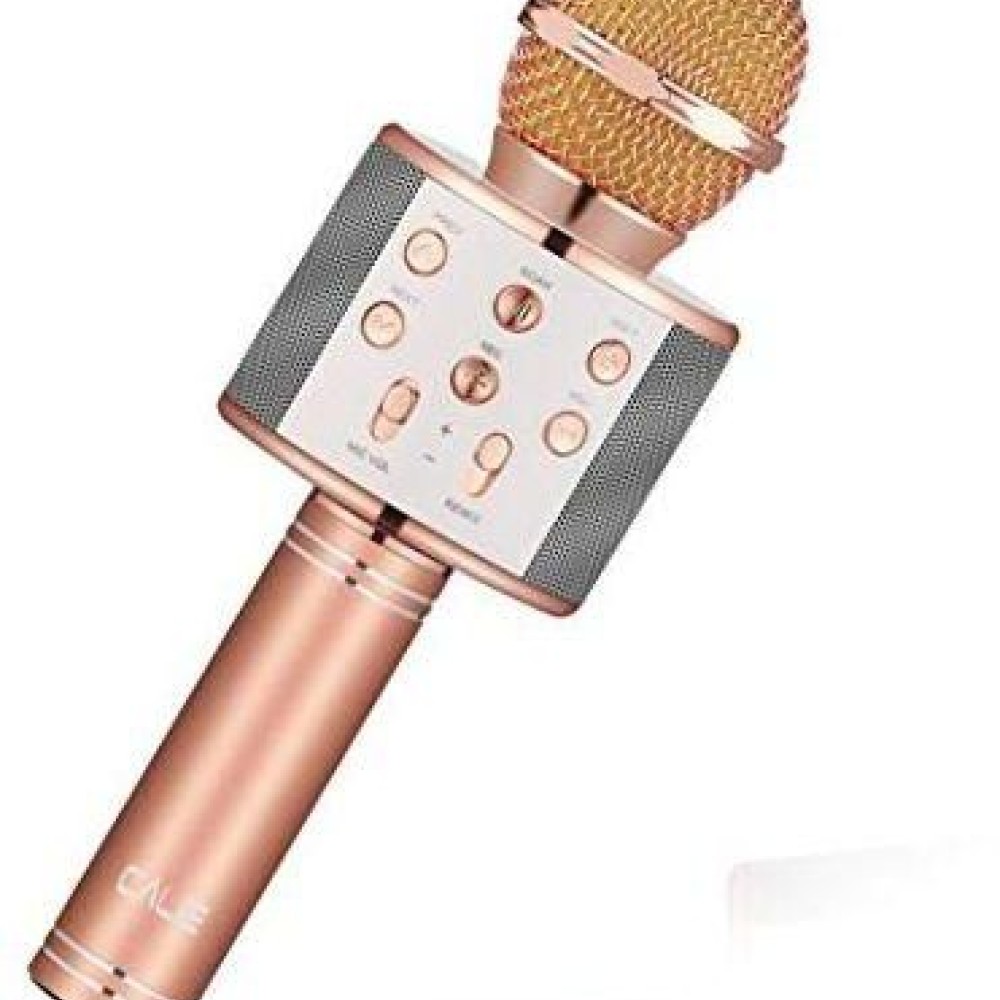 iKaraoke WSTER WS-858 Wireless Microphone With Hifi Speaker Price in ...