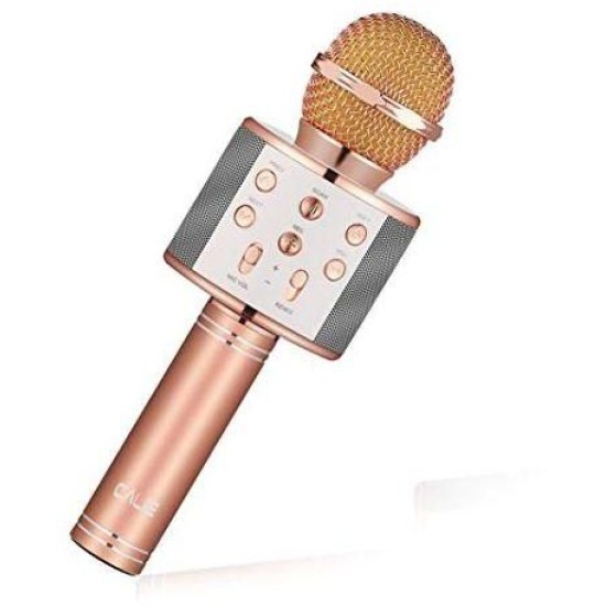 iKaraoke WSTER WS-858 Wireless Microphone With Hifi Speaker price in Paksitan